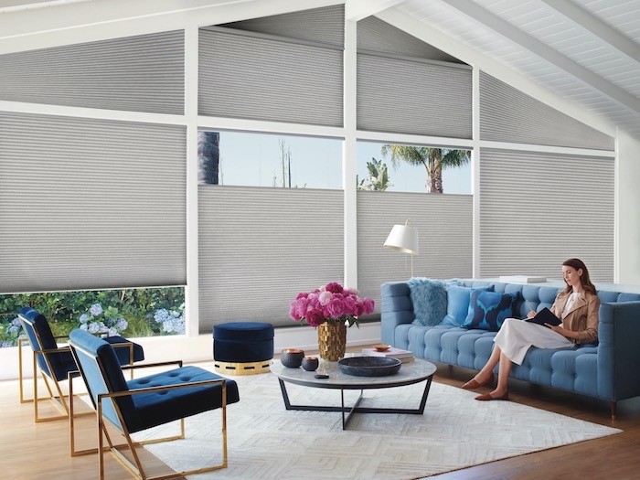 living room with duette shades
